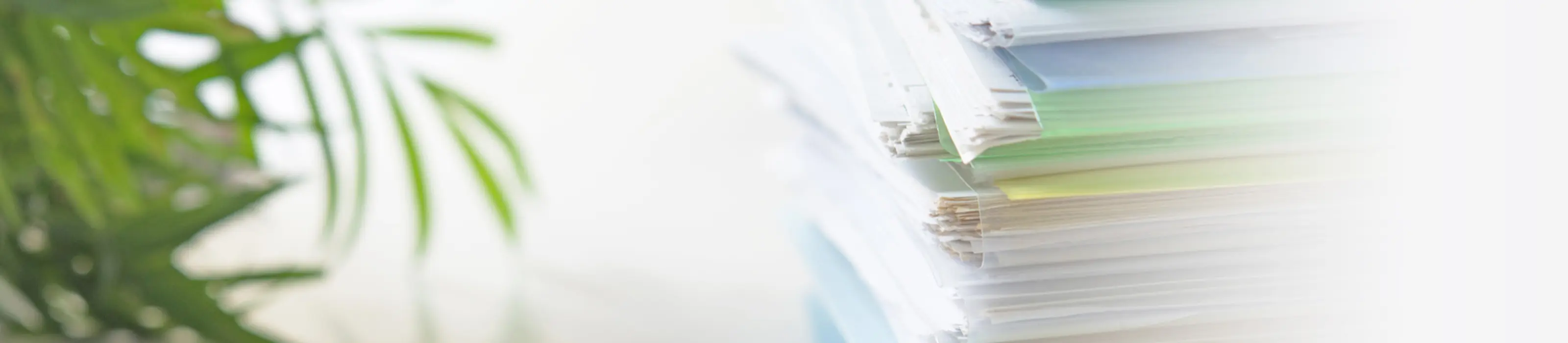 プライバシーポリシー